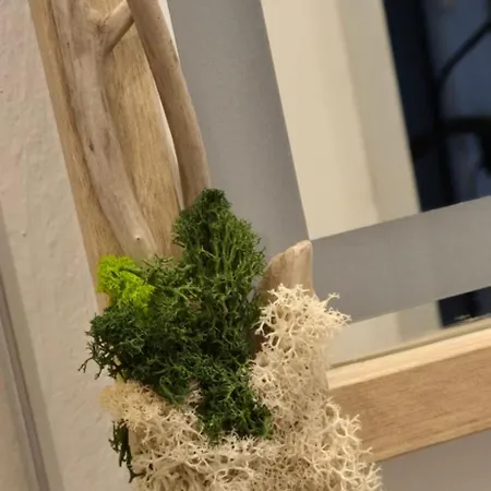 Green Home Furth im Wald