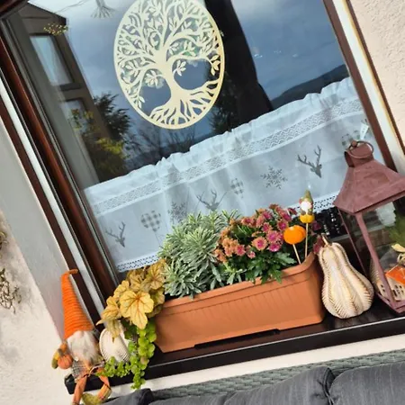Apartament Green Home