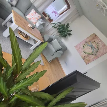 Green Home Apartment *