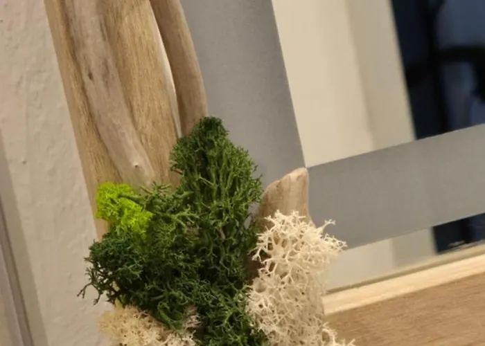 Green Home Furth im Wald